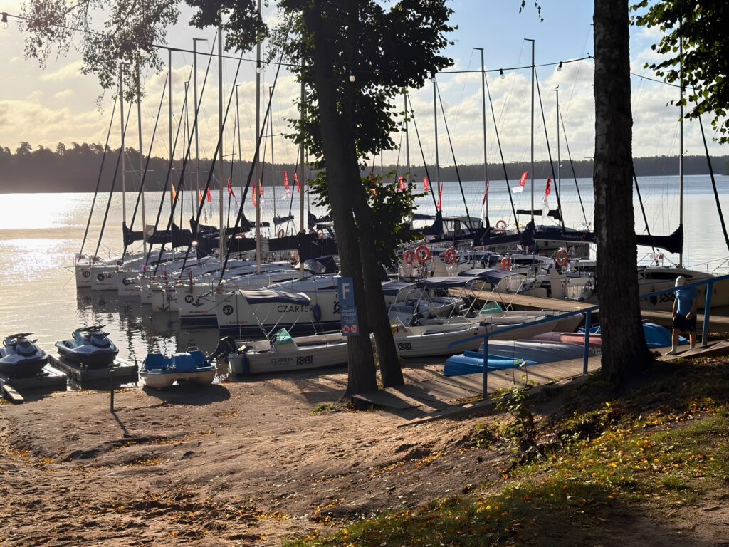 Row of sailboats docked at a lakefront marina in late afternoon light, with a tree in the foreground and a person walking along the dock on the right.