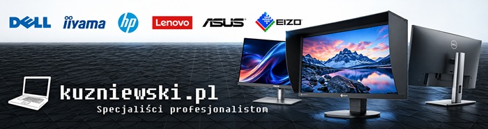 Monitory Dell serii P w kuzniewski.pl